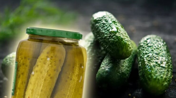 Descoperă secretul pentru castraveți murați crocanți, care nu se înmoaie niciodată