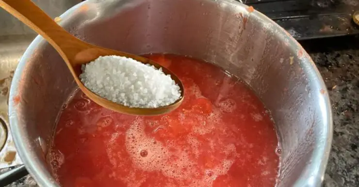 Cum să Prepari Corect Sucul de Roșii: Cantitatea Ideală de Sare și Trucuri de Conservare