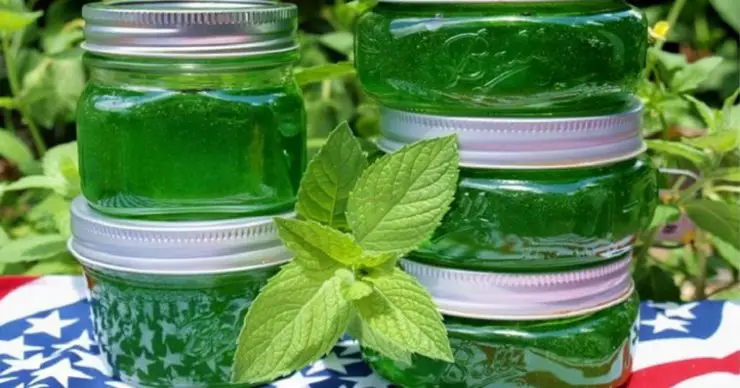 De Sezon: Dulceață de Mentă cu Lămâie – Un Deliciu 2 în 1 pentru Sezonul Rece