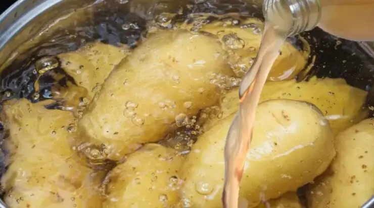 De ce ar trebui să adaugi oțet în piureul de cartofi: Beneficii și sfaturi