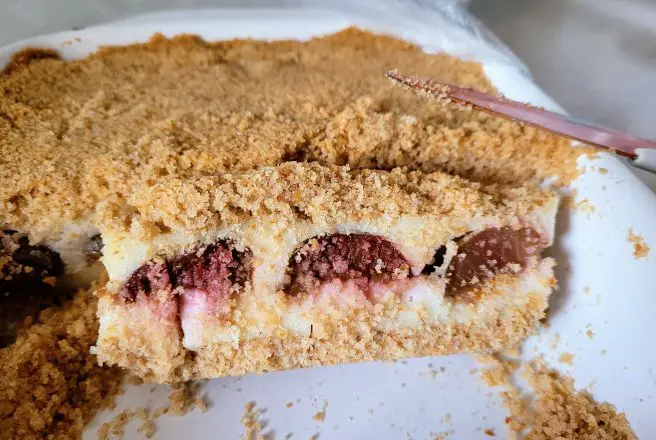 Descoperă rețeta simplă și delicioasă de Gomboti cu prune la tavă