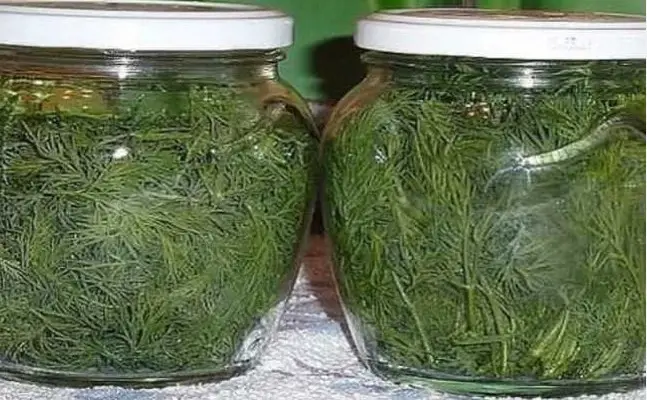 Ghid Practic pentru Păstrarea Mărarului Proaspăt și Plin de Vitamine Pe Tot Parcursul Anului