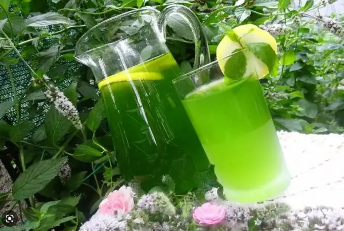Sirop de Menta – Rețetă Răcoritoare și Ușor de Preparat