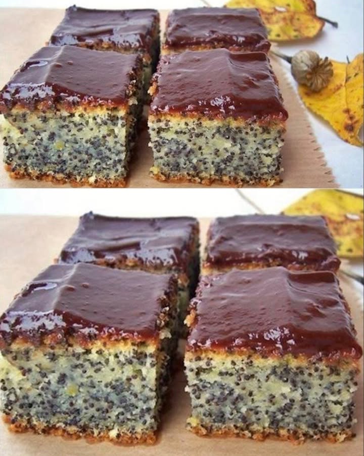 Prăjitură cu mac  măsuri la cană, se mixează în 5 minute și se coace.