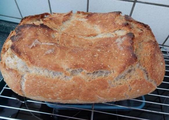 Mușcă pâinea proastă.