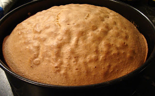 Blat de tort vienez