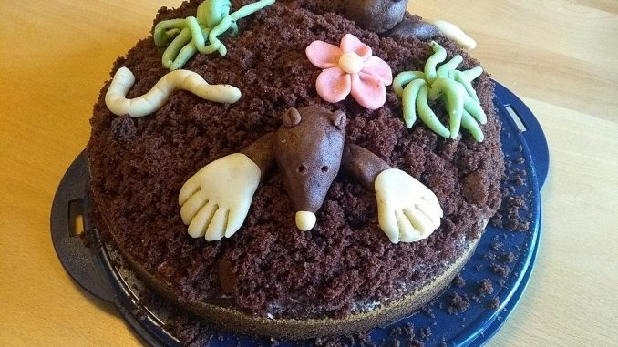 Prăjitură Spițelă (Maulwurfkuchen)