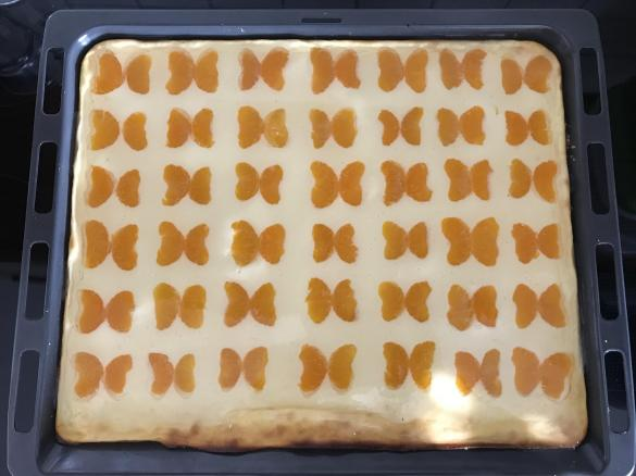 Gâteau Papillon